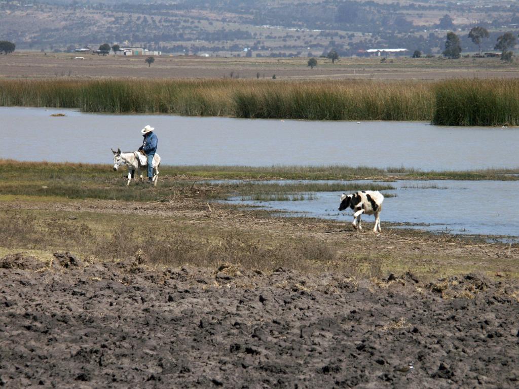 100302_Zacatec 078.jpg